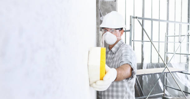 Best Mold Damage Restoration  in USA